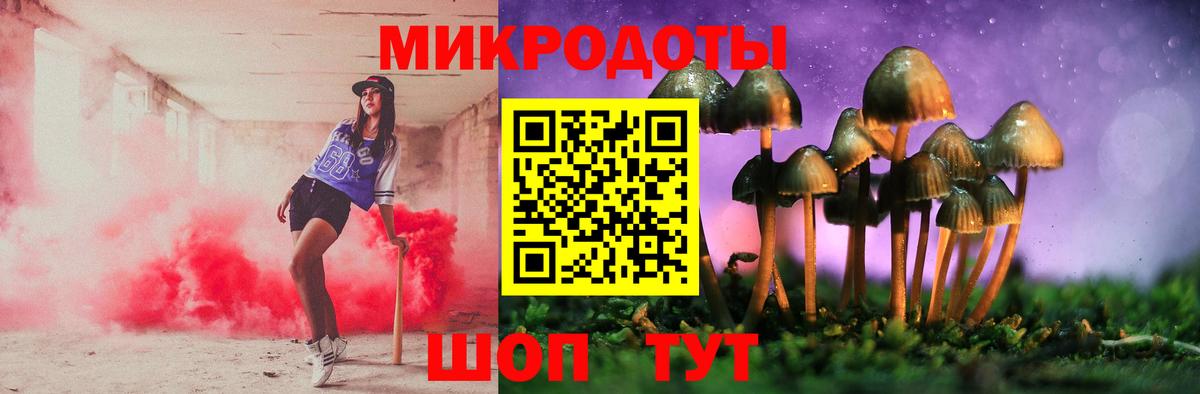 Псилоцибиновые грибы Psilocybe Тобольск